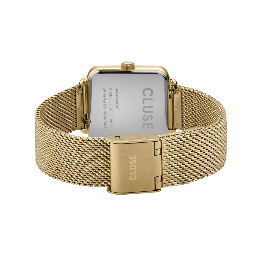 ブラックテトラゴン