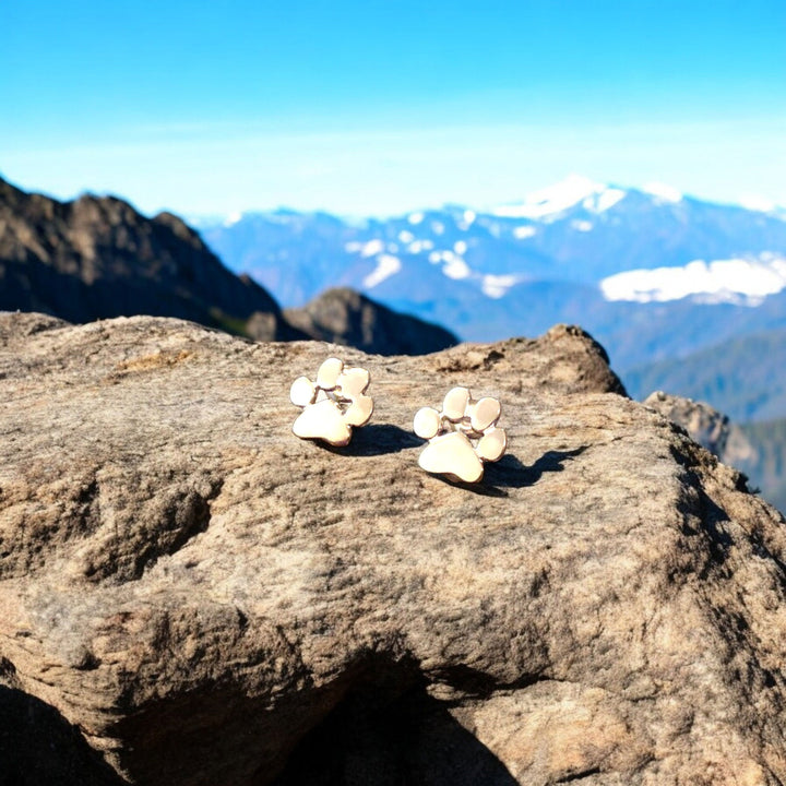 アレルギー対応ステンレススチールパウイヤリング