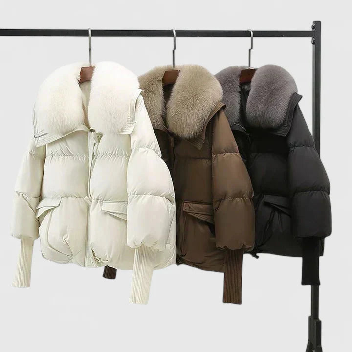 Zya | コンフォートジャケット